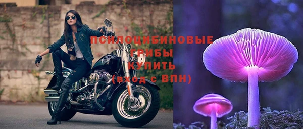 mdpv Коряжма