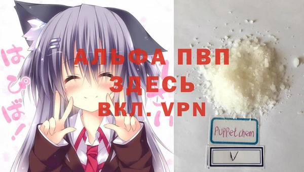 прущий лед Ладушкин