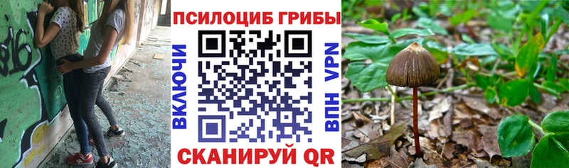 цена наркотик  Красноперекопск  Галлюциногенные грибы Cubensis 