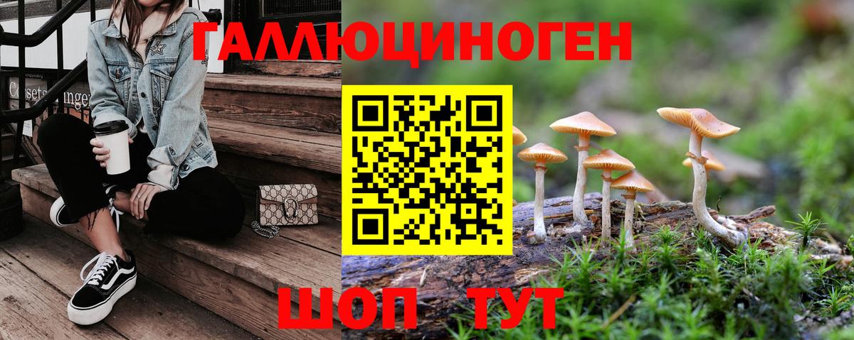 Красноперекопск  Псилоцибиновые грибы Cubensis  цены наркотик  Галлюциногенные грибы GOLDEN TEACHER  Вход с VPN 